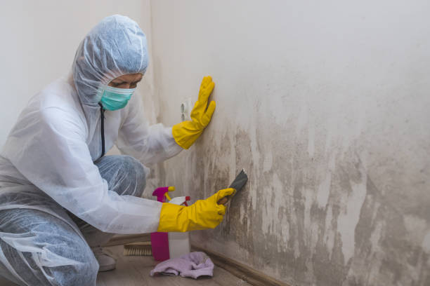 Meeker, OK Mold Removal Company